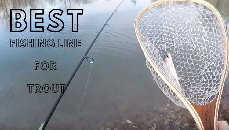 Best Fishing Line for Trout - Beau Turner Youth Conservation Center