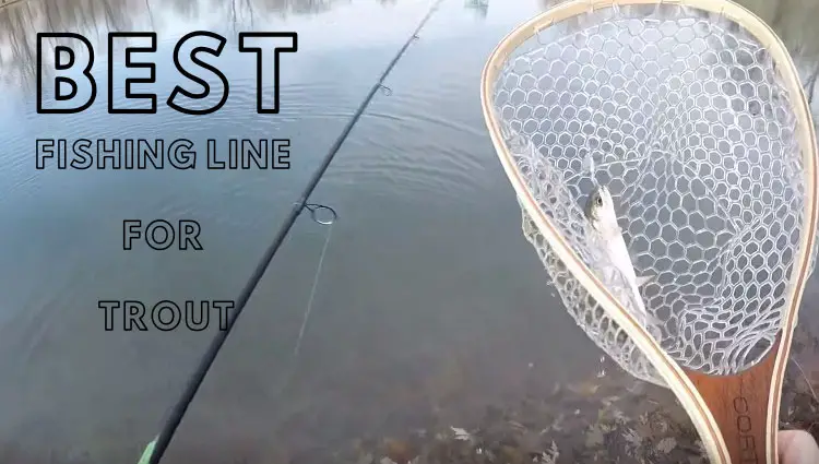 https://btycc.org/wp-content/uploads/2020/03/Best-Fishing-Line-for-Trout.jpg