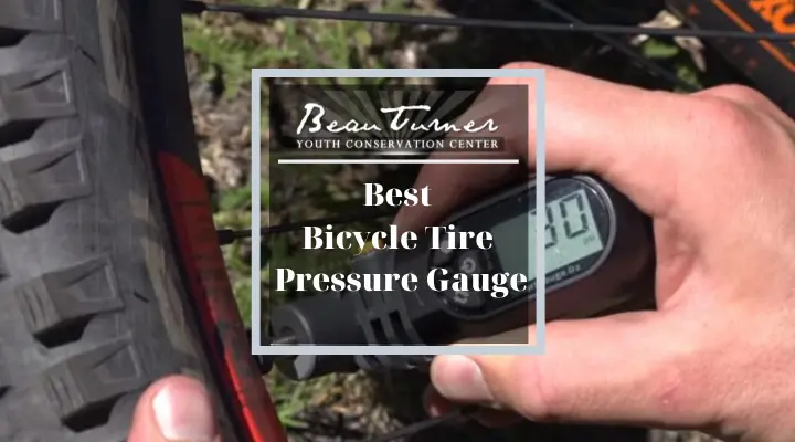 best tire pressure gauge for presta valves