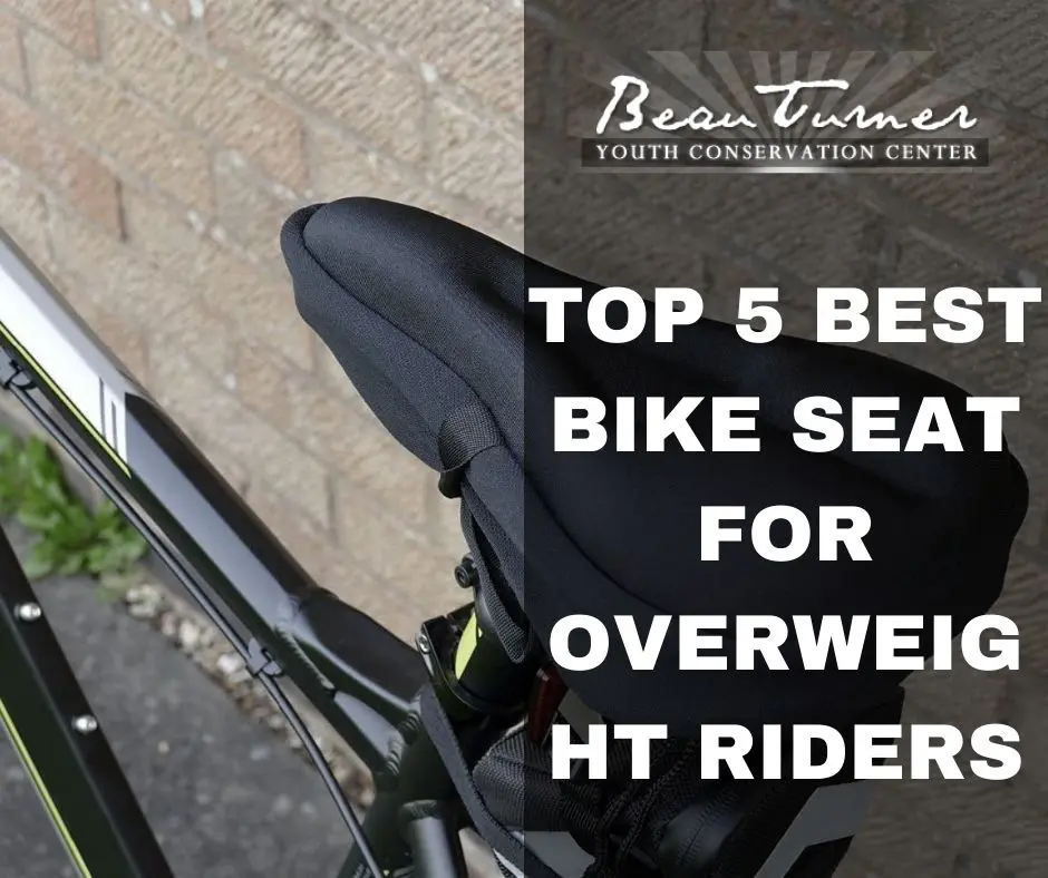 [Top 5] Most Comfortable Bike Seat For Overweight Reviews Beau Turner