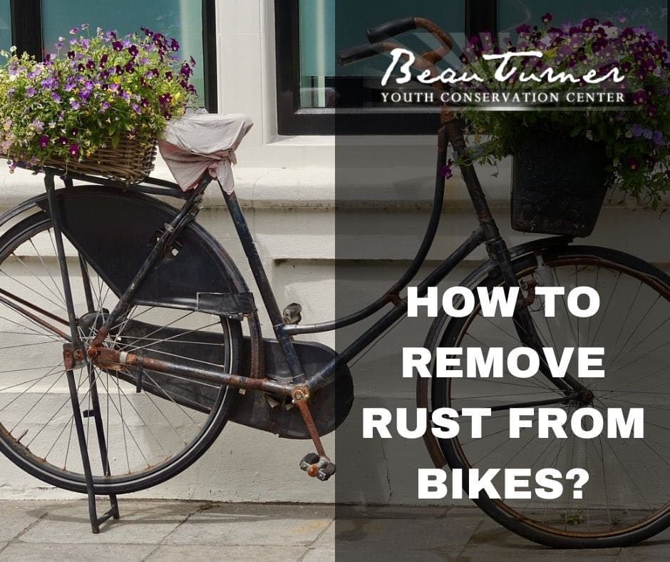 How To Remove Rust From Bikes Beau Turner Youth Conservation Center