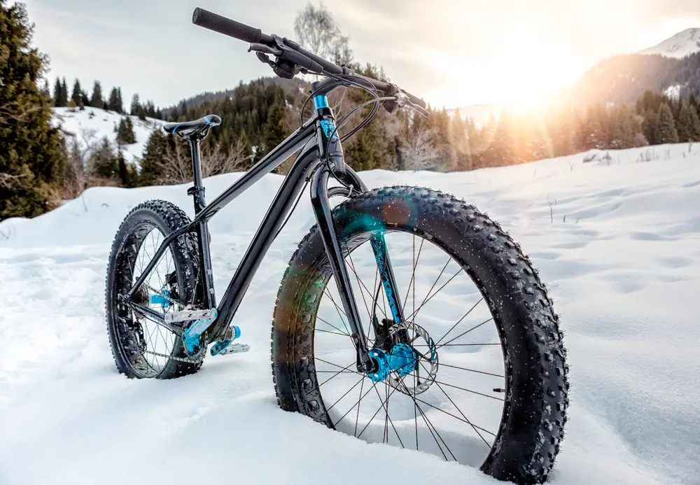 What is the fat bike
