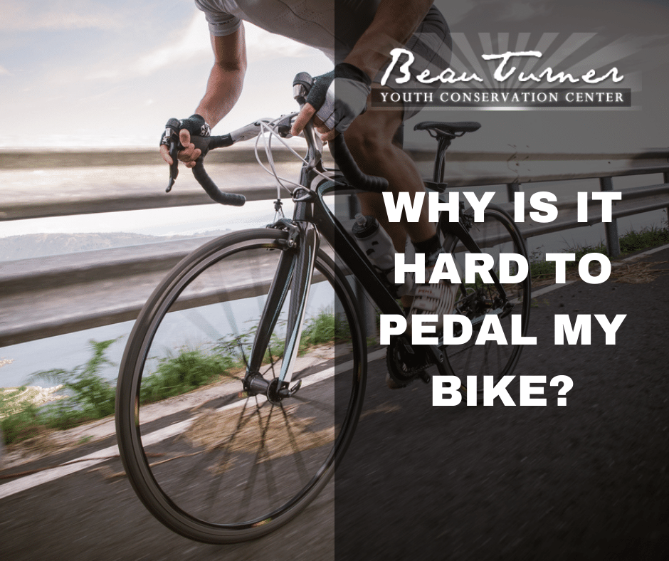 Why Is It Hard To Pedal My Bike? This Is How To Fix It Beau Turner